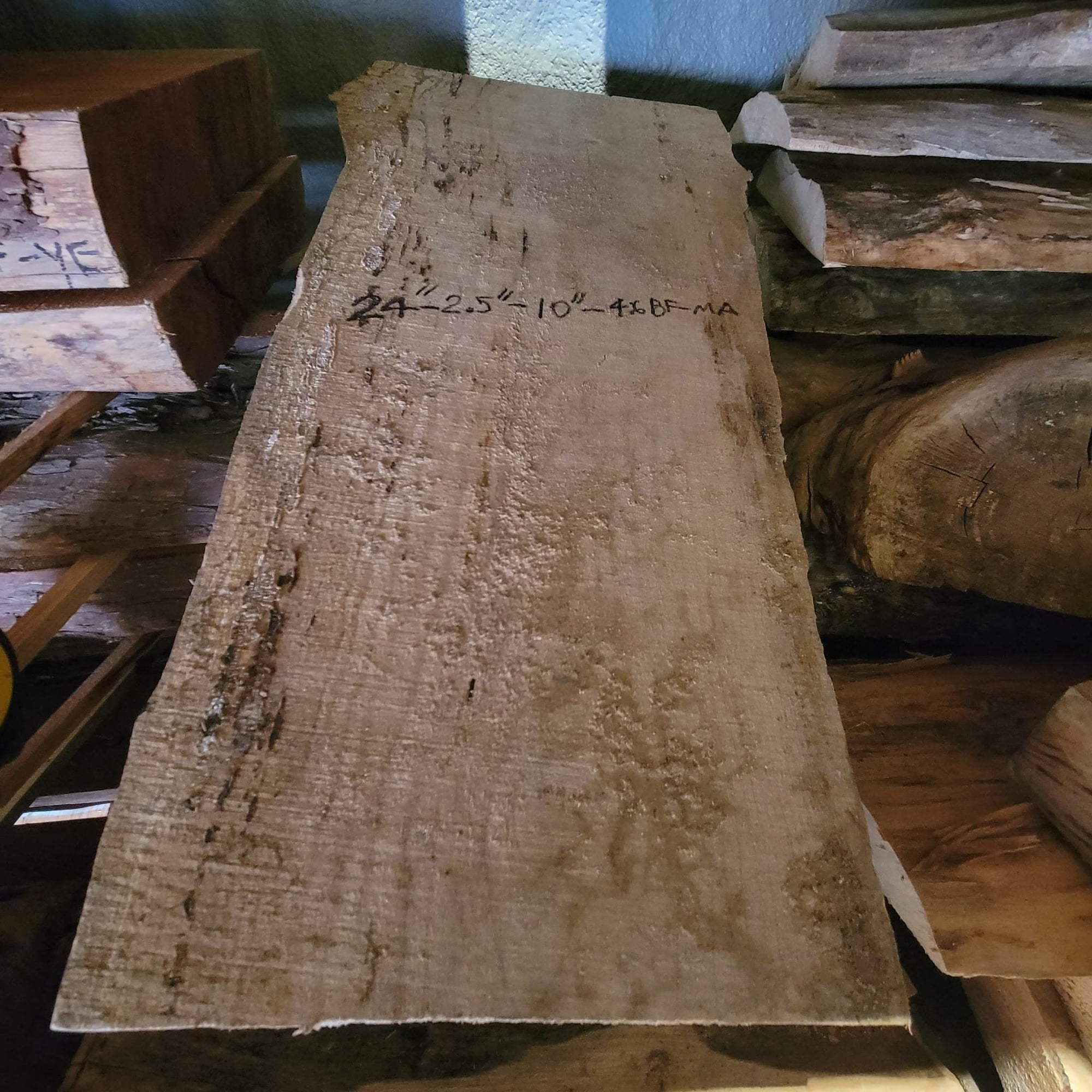 Big Leaf Maple